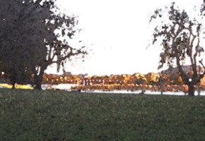 By the Lake