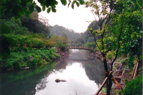 Chenjiyeon Waterfall at dawn- Jeju- Korea