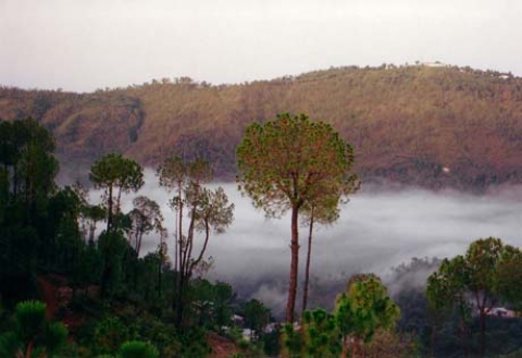 Mist in the Valley- Barog