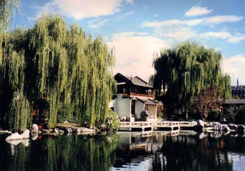 Chinese Garden, Darling Harbour, Sidney, Australia   