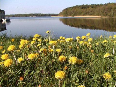 By the lake . . .