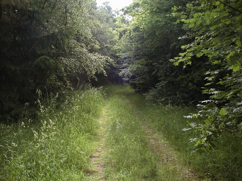 The doorway to the nature . . .