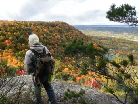 Helderberg Escarpment