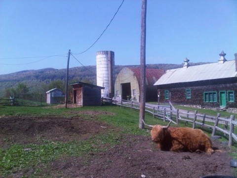 Rosie, Indian Ladder Farm