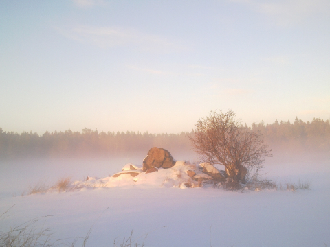 FIELD ISLAND