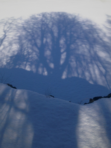 SHADOW ON SNOWY LAKE