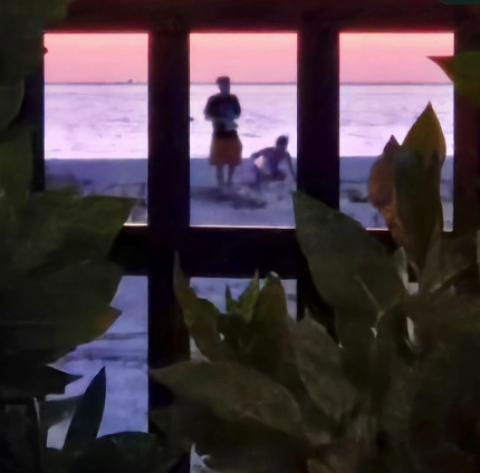 Looking Through the Windows